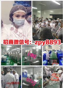 愛美肌、悅素堂與愛奈兒產(chǎn)品體驗(yàn)及燕兒團(tuán)隊(duì)代理模式解析