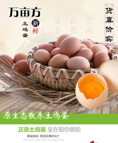 食品美食雞蛋拍攝產品圖片制作淘寶詳情頁南陽淘邦電商