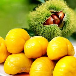號(hào)外 號(hào)外 寧德 滴水購(gòu) 消費(fèi)扶貧農(nóng)特產(chǎn)品公益展銷會(huì)明日開幕 現(xiàn)場(chǎng)美食免費(fèi)品嘗