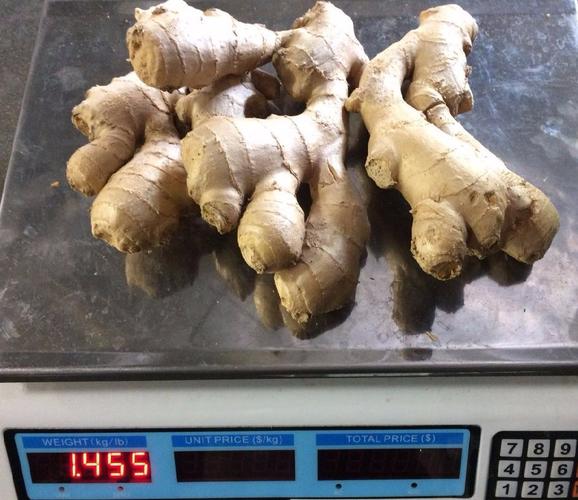 家庭健康飲食必備輔助材料之一