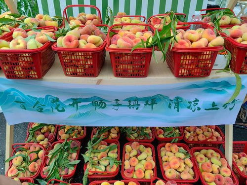 第五屆百合花節暨陜渝美食農林產品集市系列活動開幕