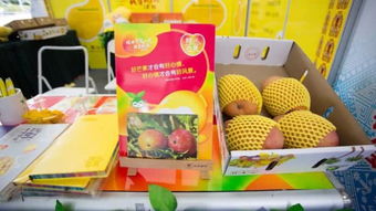海南旅游美食與商品展銷會即將開幕 一起回顧往屆精彩瞬間
