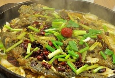 老板愛上魚