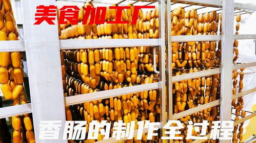 美食解密,每天10噸的工廠香腸制造過程,食品加工紀錄片