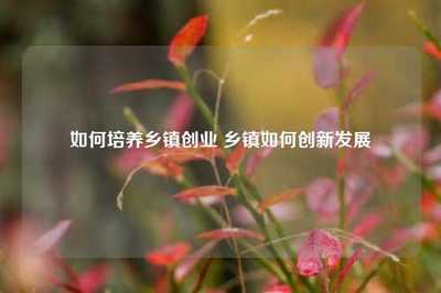 如何培養鄉鎮創業 鄉鎮如何創新發展